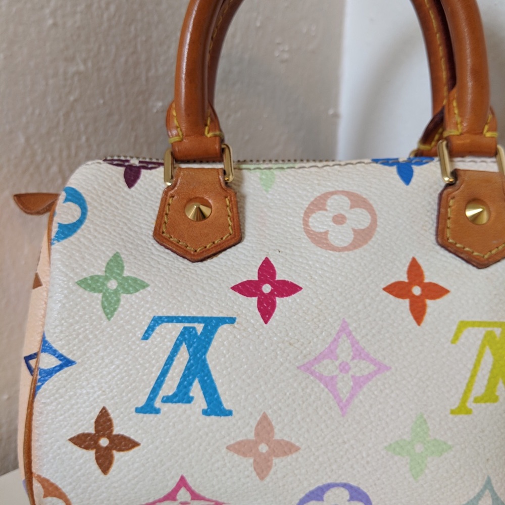 Louis Vuitton Speedy Monogram Mini Multicolor